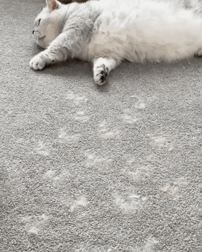 Pet Hair Removal Gloves™✨✨ Buy 1 Get 1 FREE